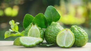 Calabrian Bergamot
