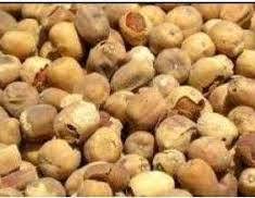 Egyptian Balsam