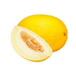 Italian Melon