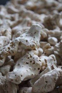 Italian Orris Root