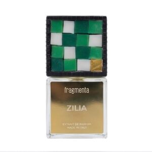 Zilia Fragmenta