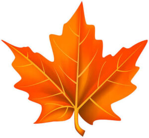 Orange Leaf