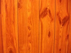 Orangewood