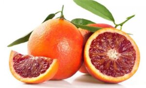 Sicilian Citruses