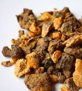 Somalian Opoponax