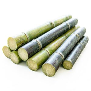 Sugar Cane