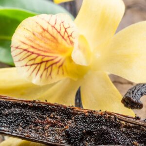 Vanilla Flower