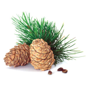 Virginian Cedar